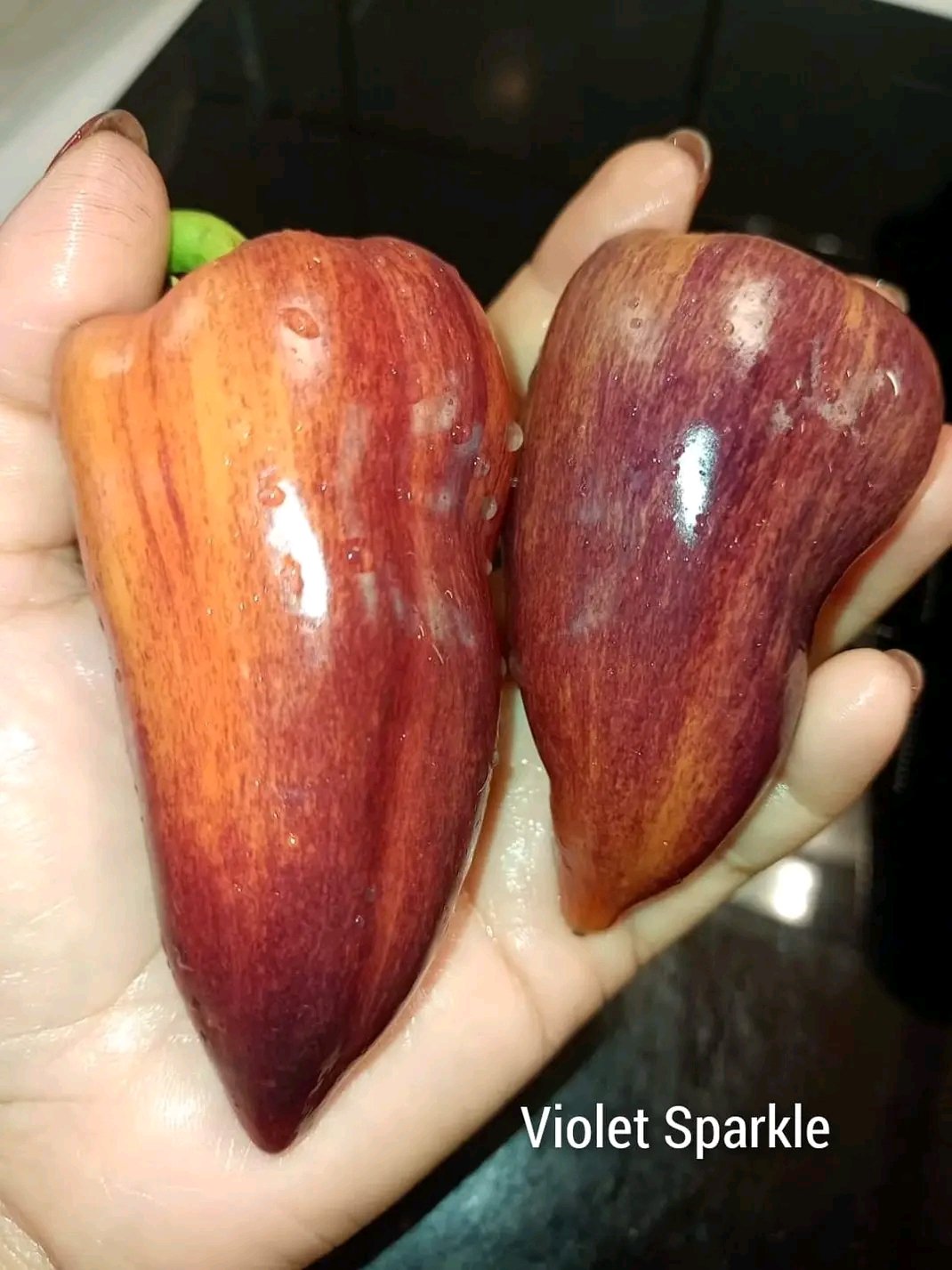 Violet Sparkle Heirloom Sweet Pepper