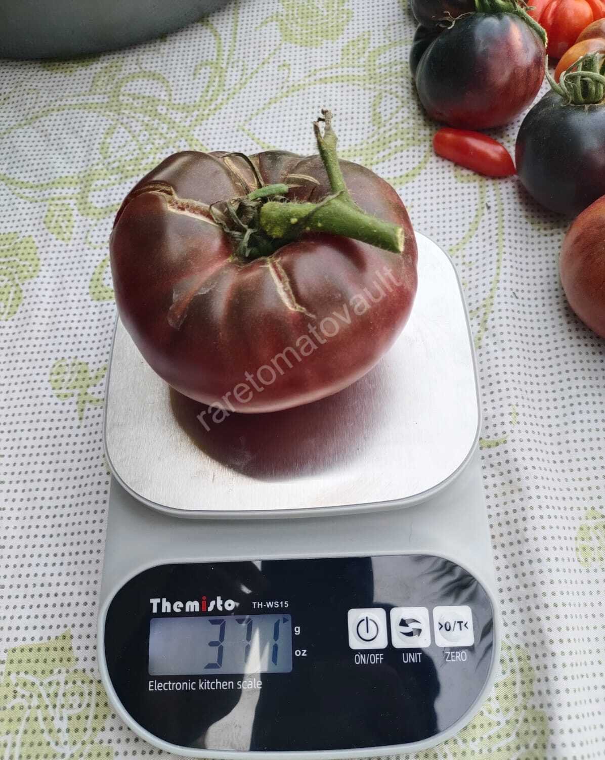 Cherokee Purple tomato (USA Heirloom)