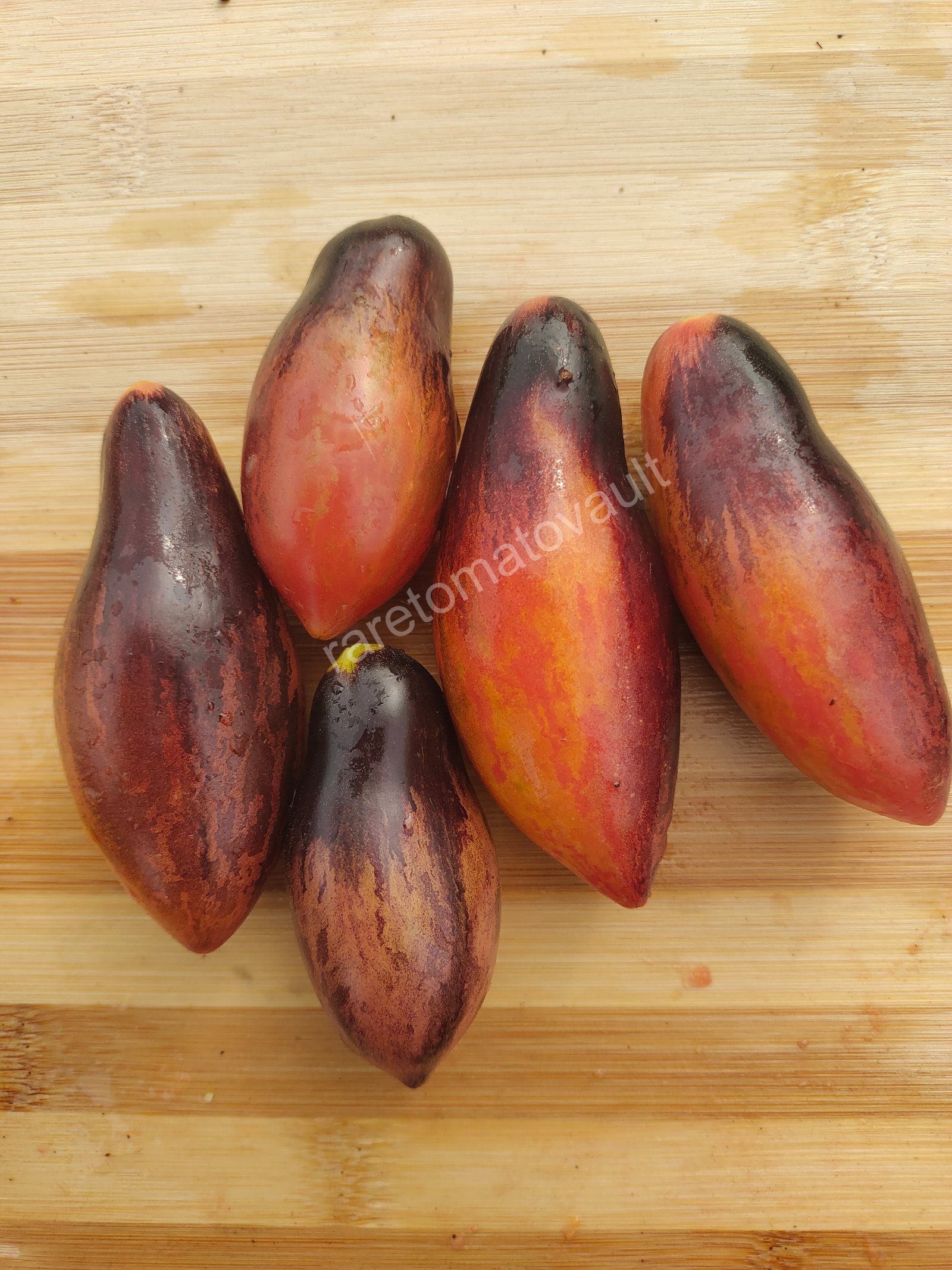Antho Pink Panther Tomato (USA Heirloom)