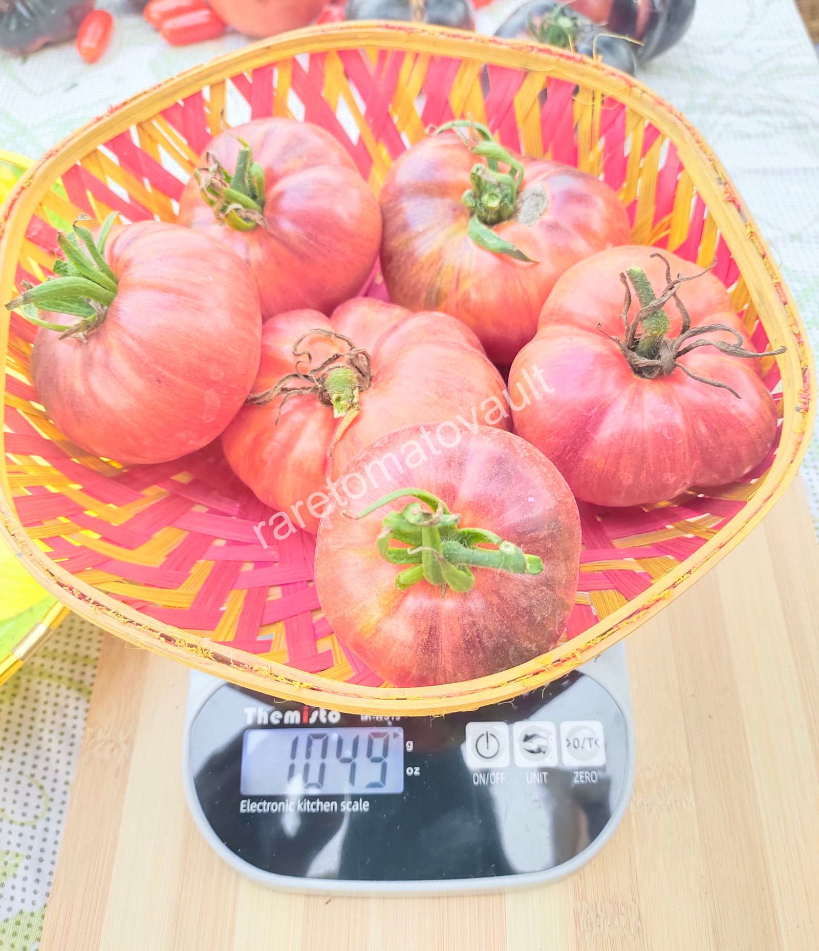 Red Beauty Tomato (Wild Boar Farms, USA)