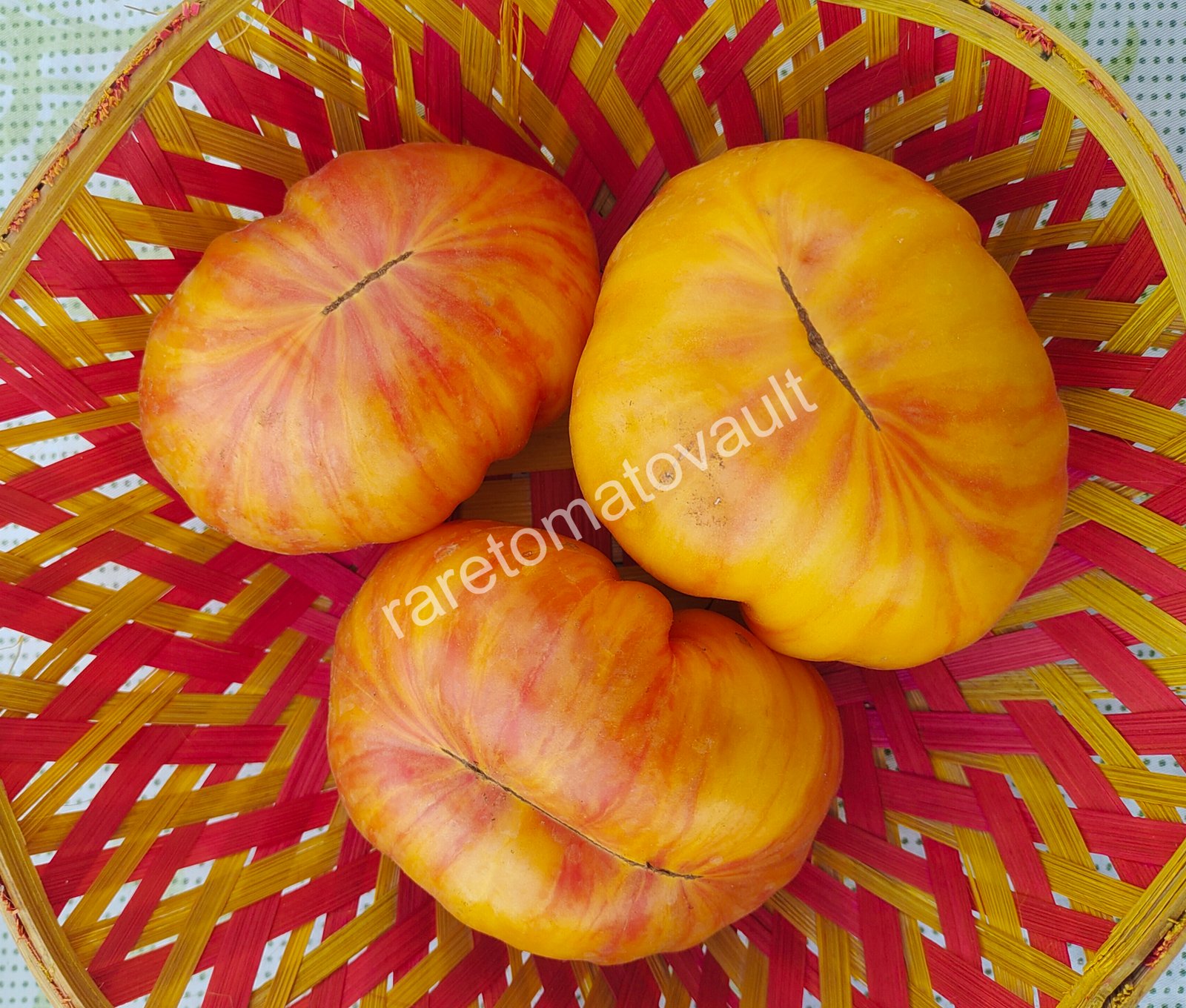 Lithium Sunset Tomato (USA Heirloom)