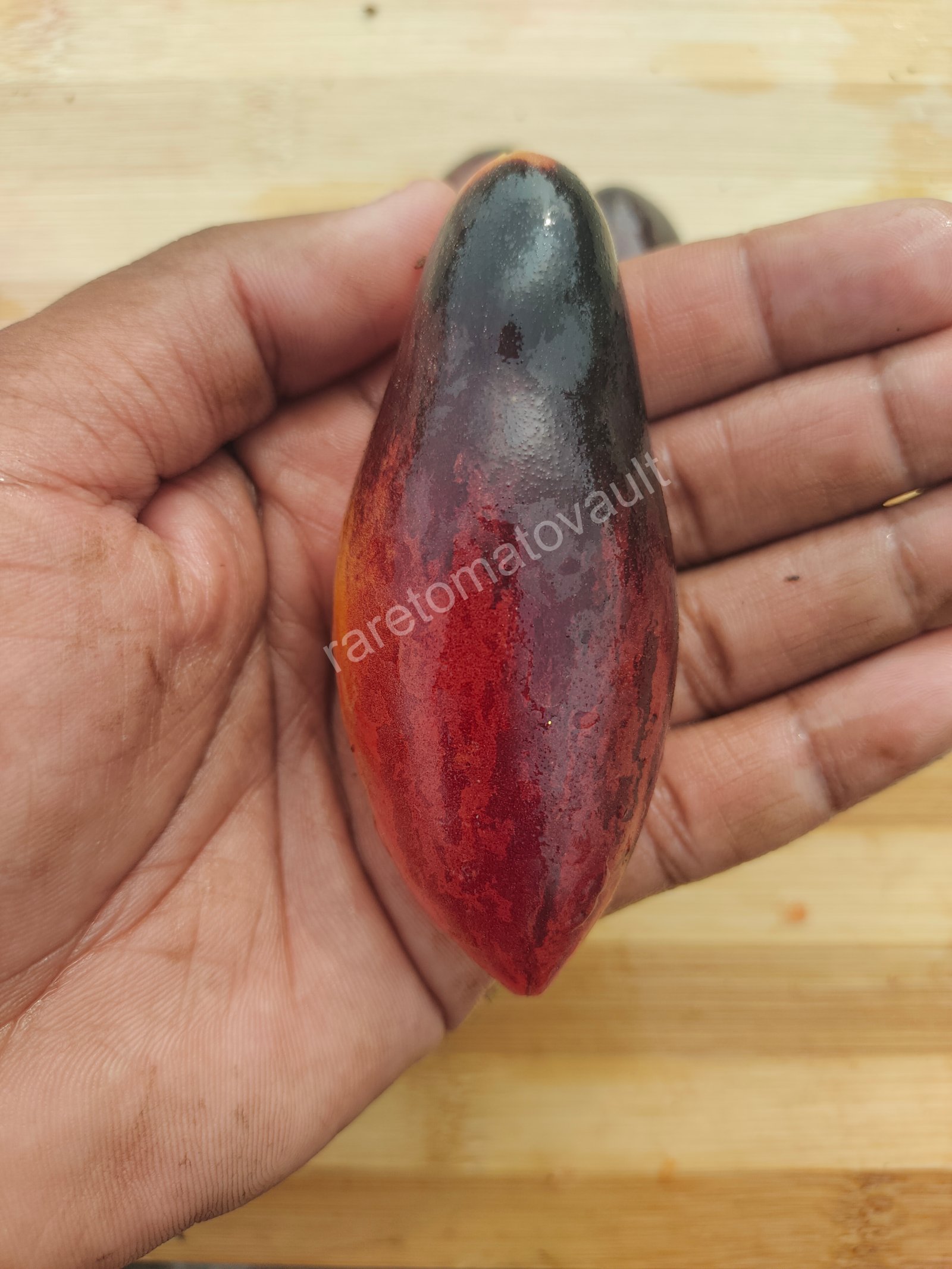 Antho Pink Panther Tomato (USA Heirloom)