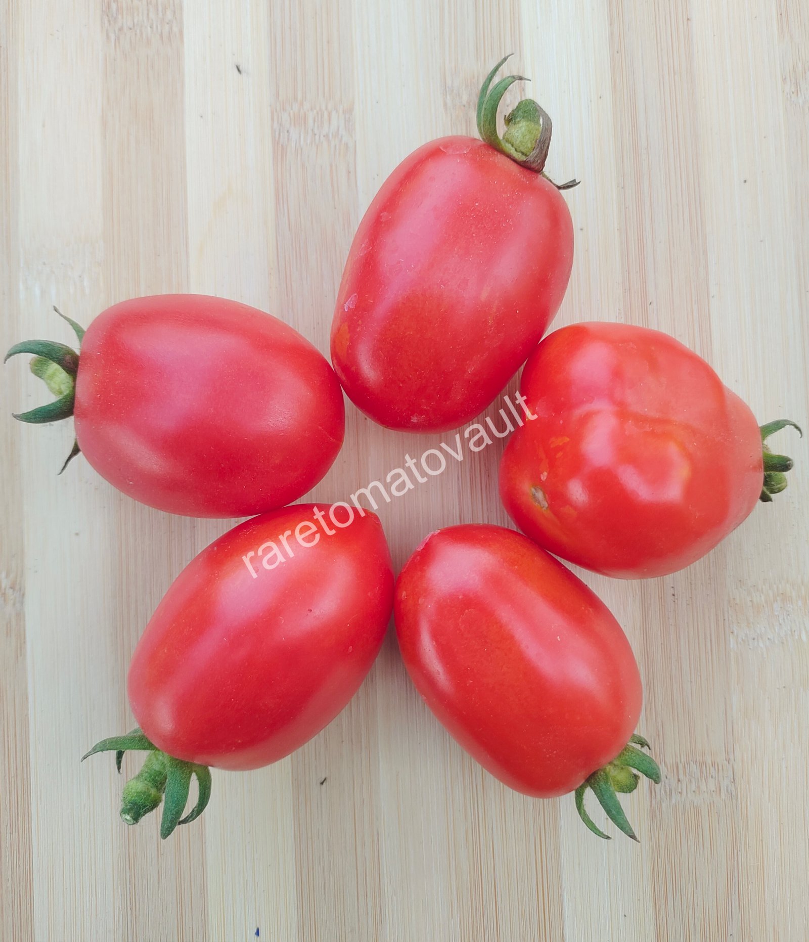 Martino Roma (Italian Heirloom)