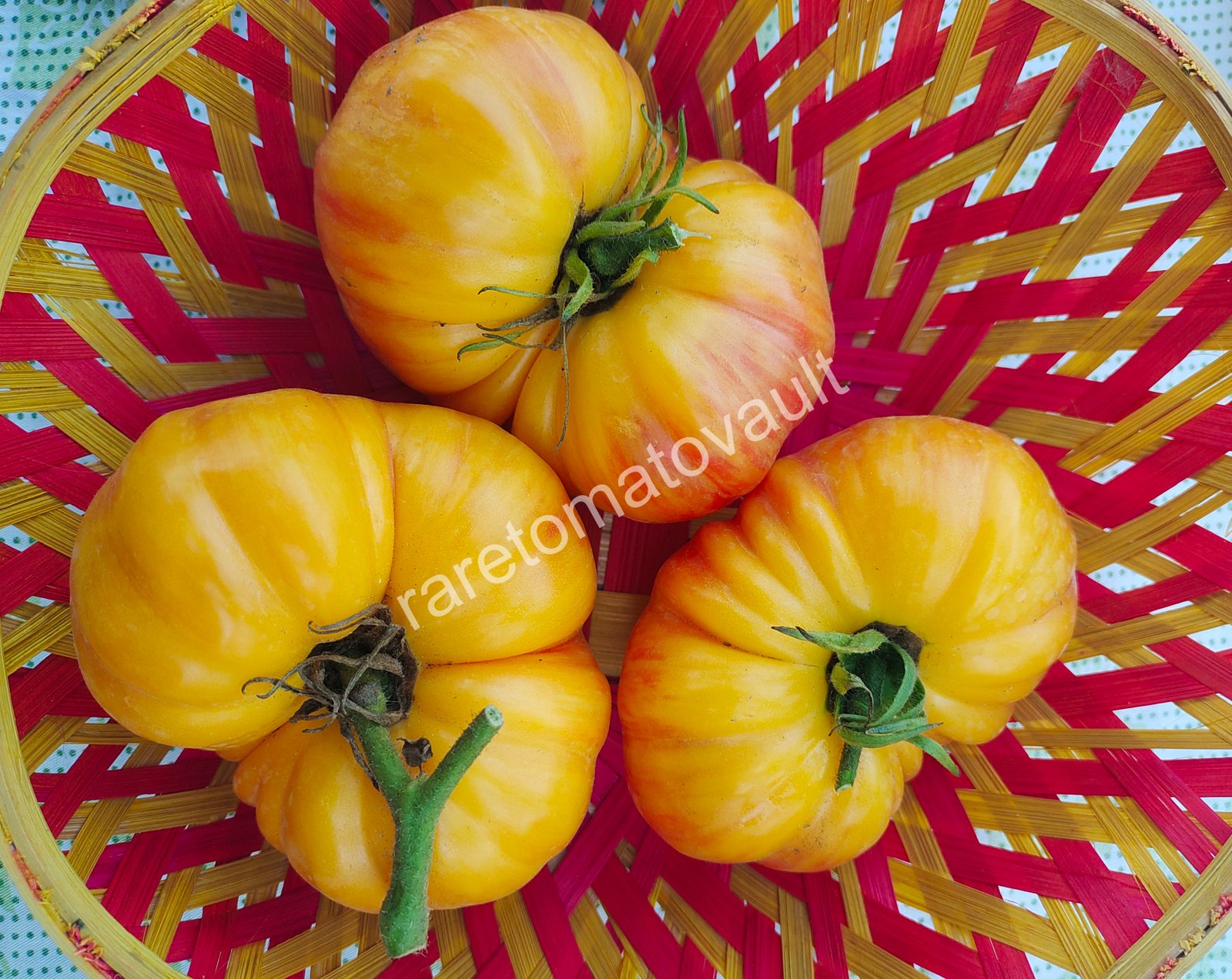 Lithium Sunset ( USA Heirloom)