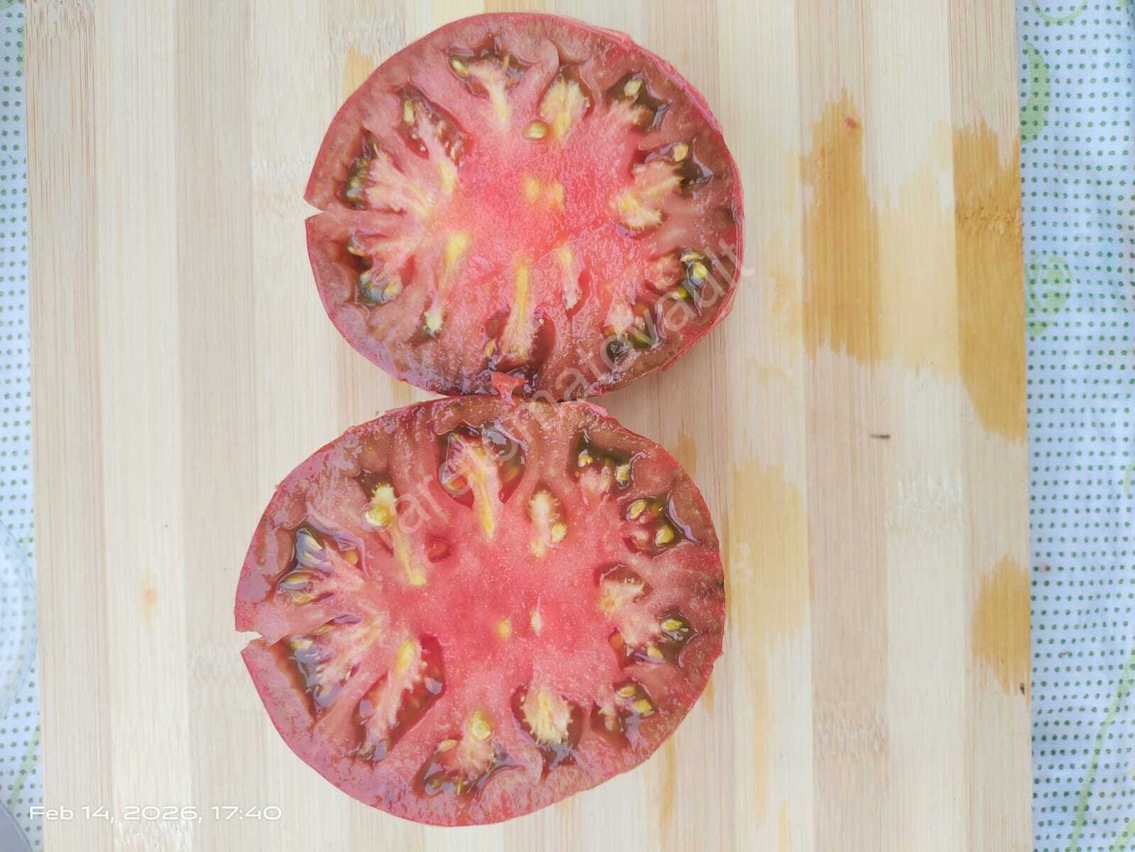 Cherokee Purple tomato (USA Heirloom)
