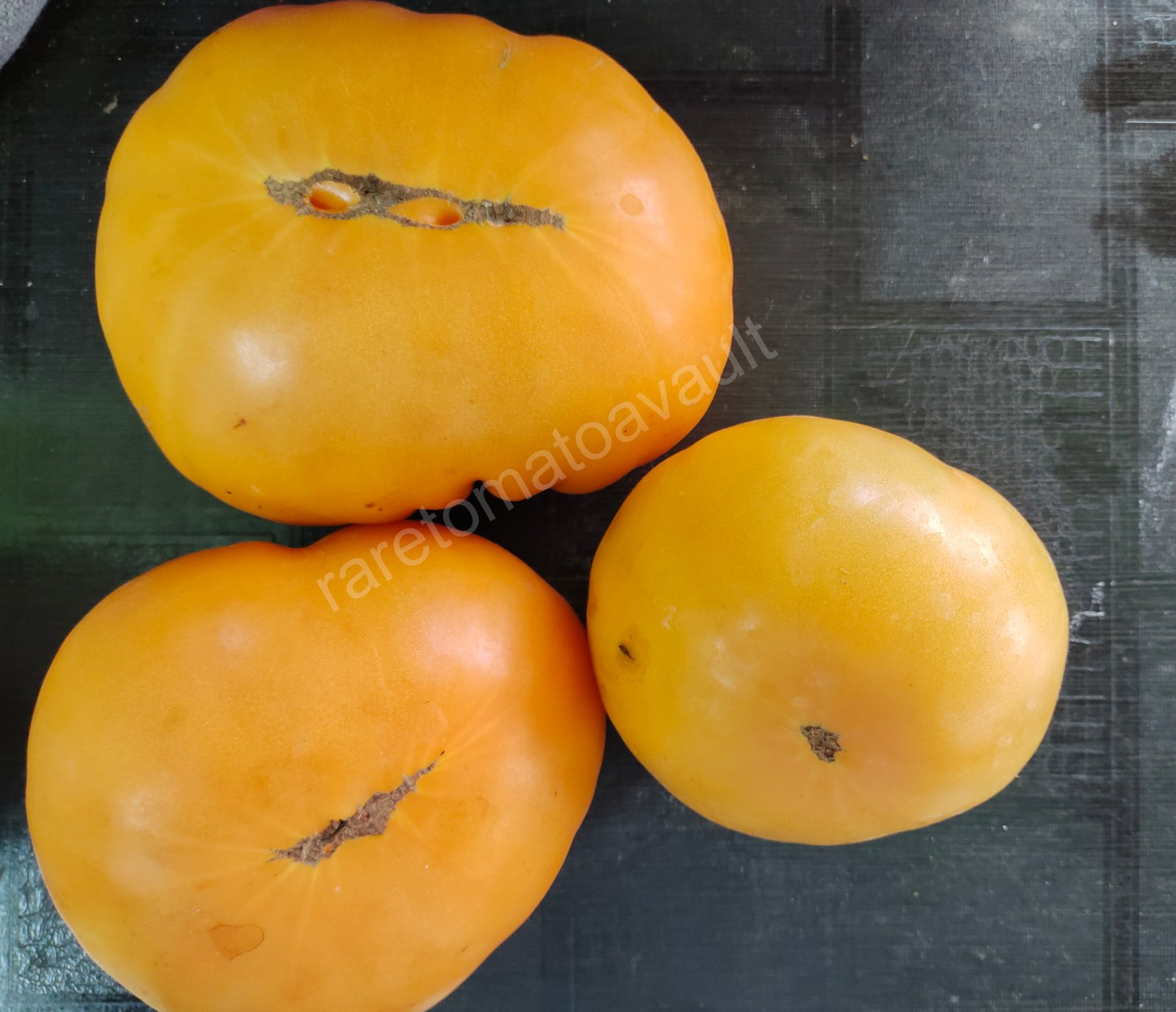 Kellogs breakfast (West Virginia Heirloom)