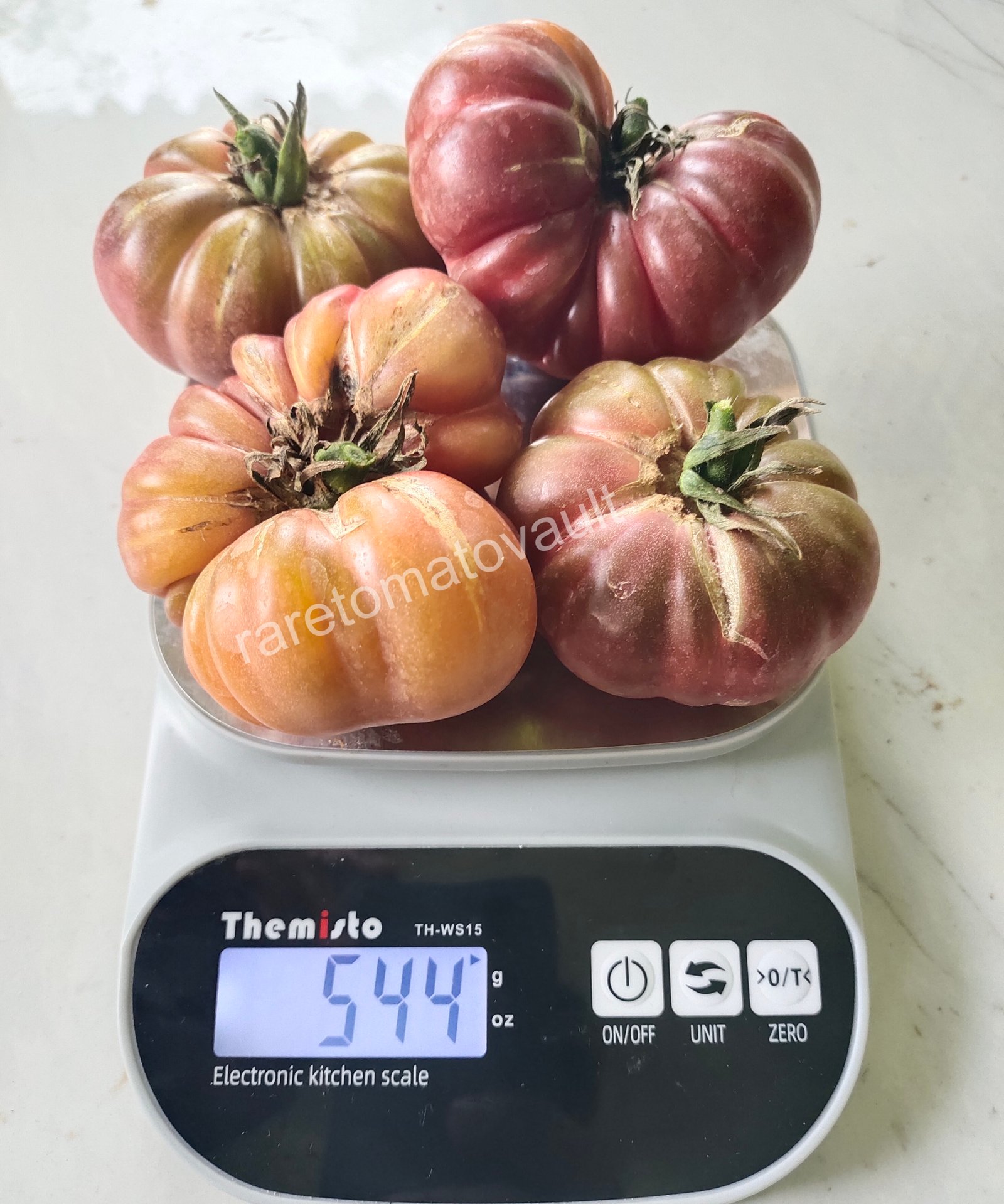 Tims Black Ruffles (USA Heirloom)