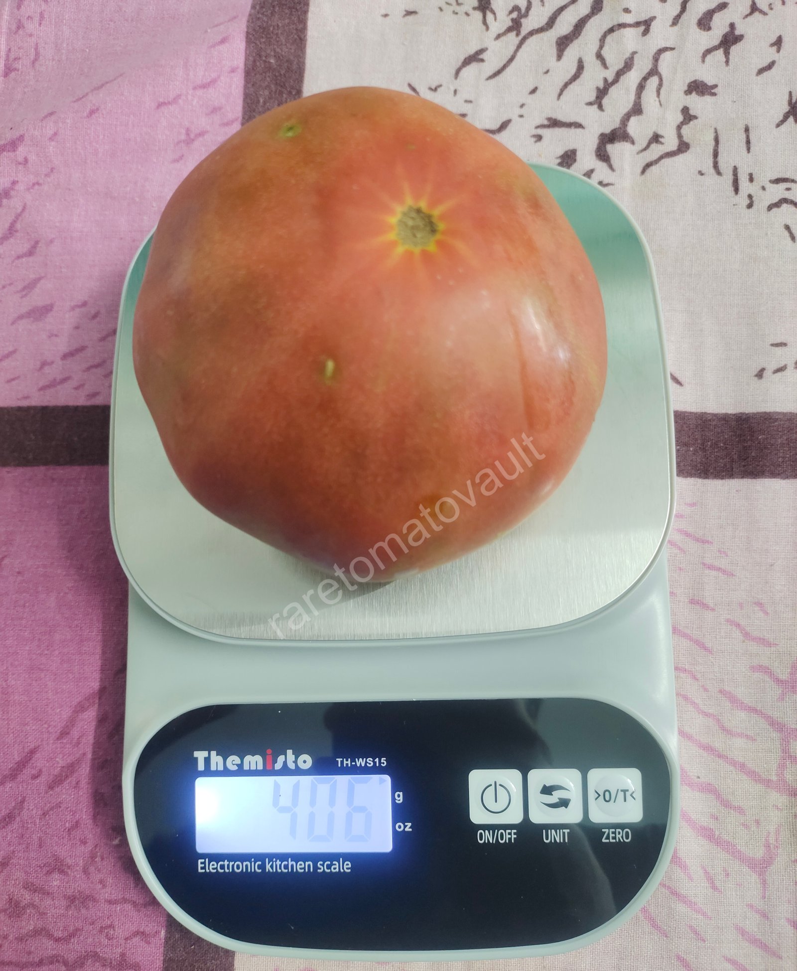 Chinook Tomato (Canada)