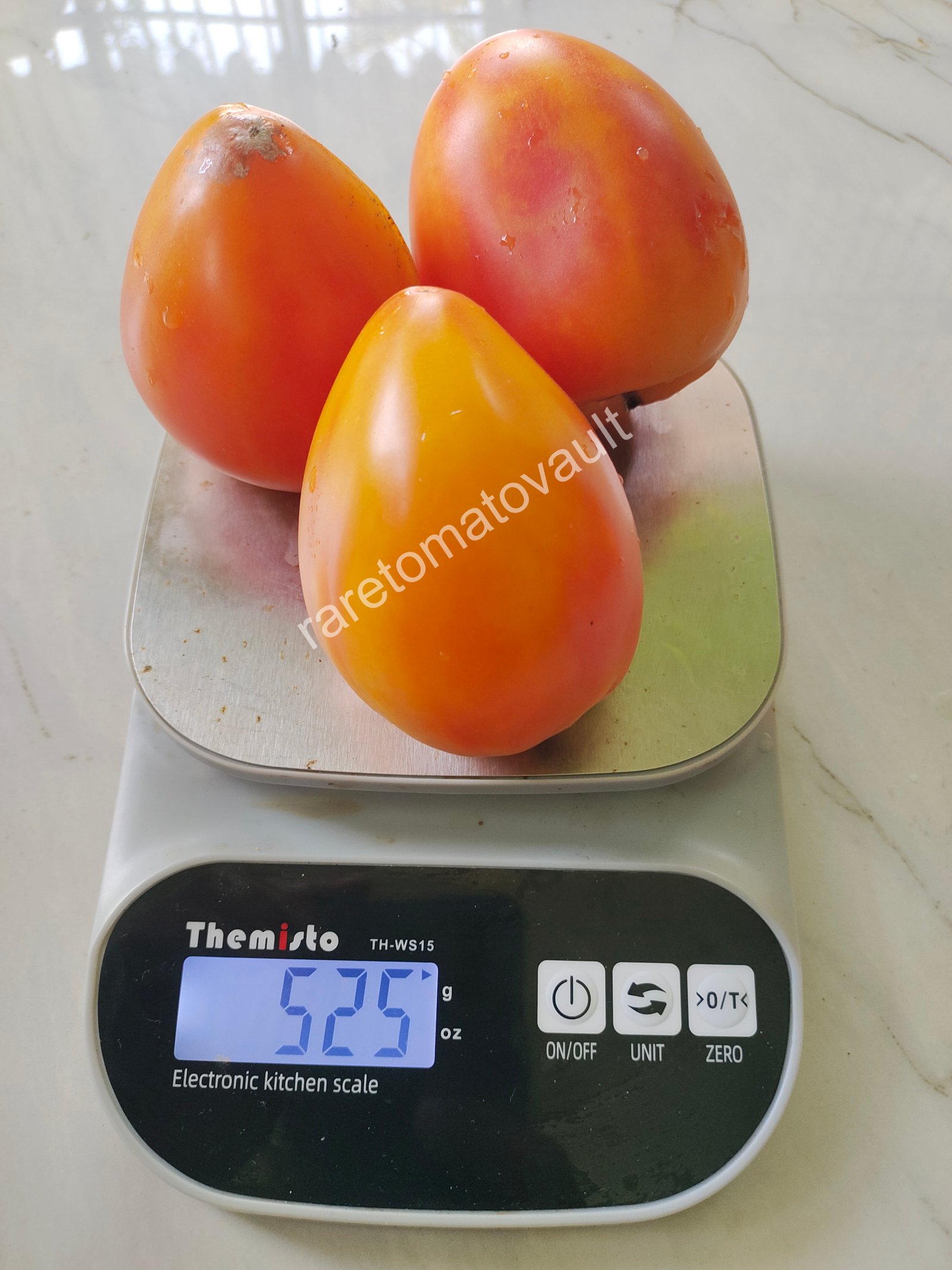 Sofia's Orange Mango (Russia)