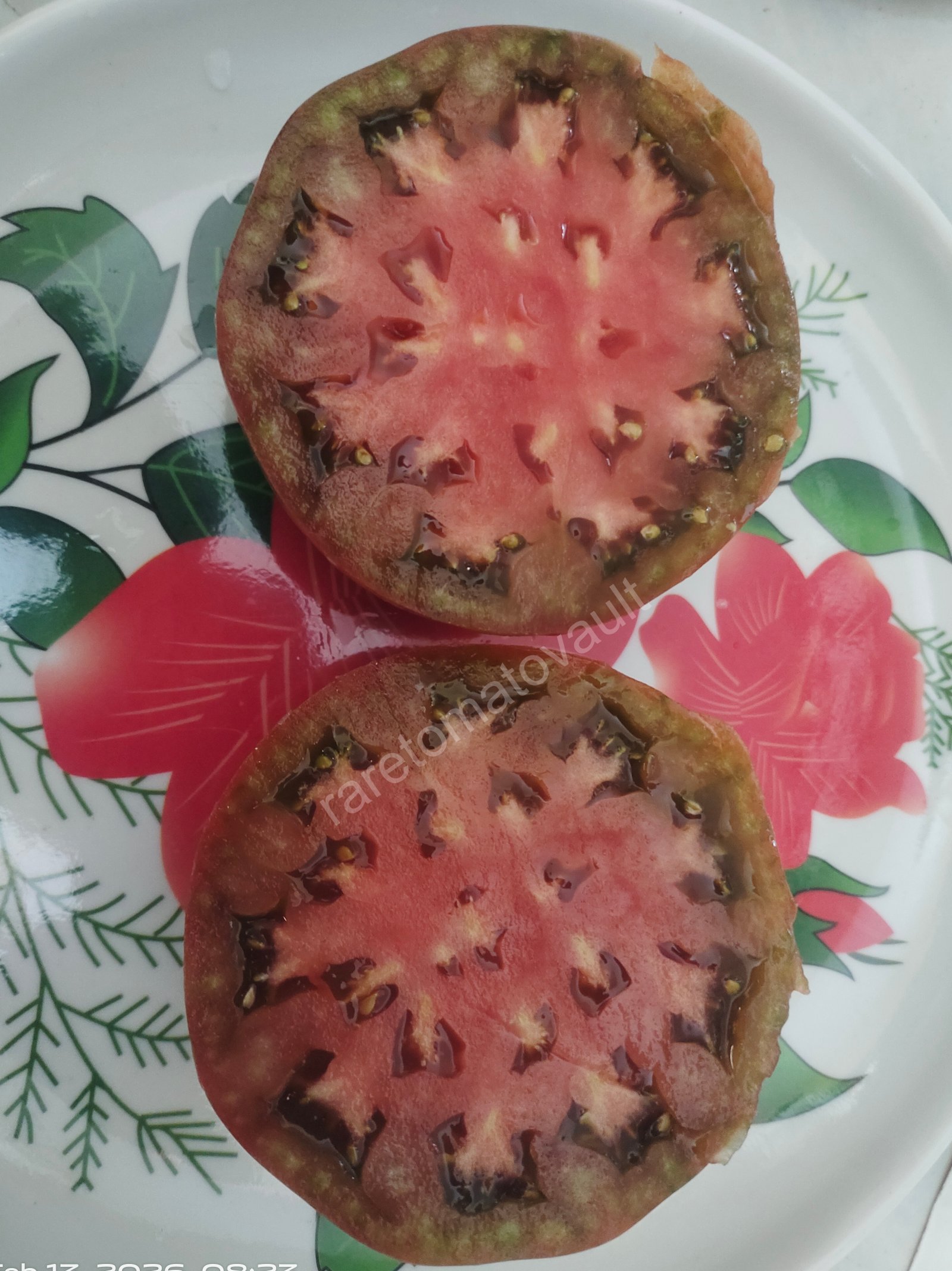 Chinook Tomato (Canada)