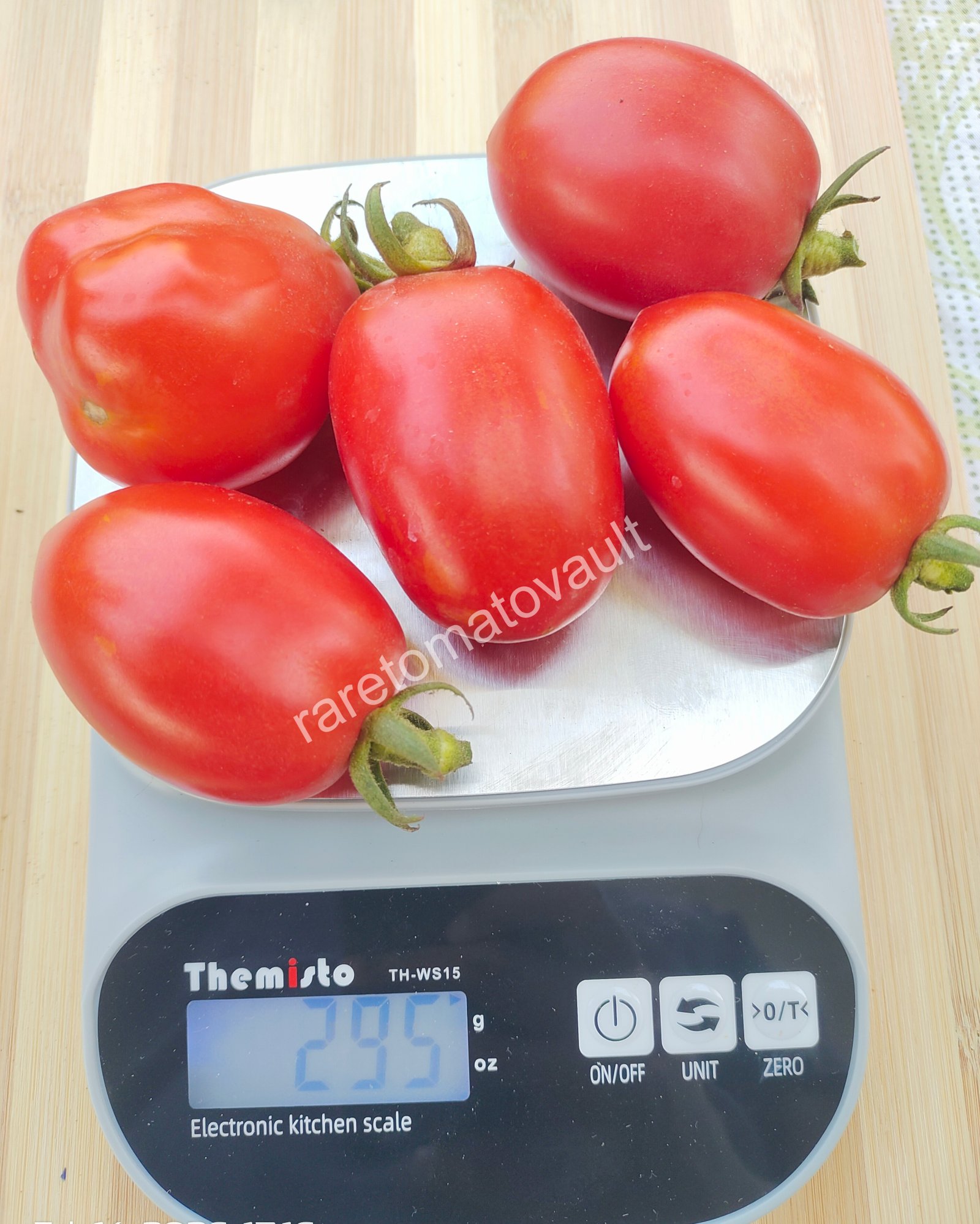 Martino Roma (Italian Heirloom)