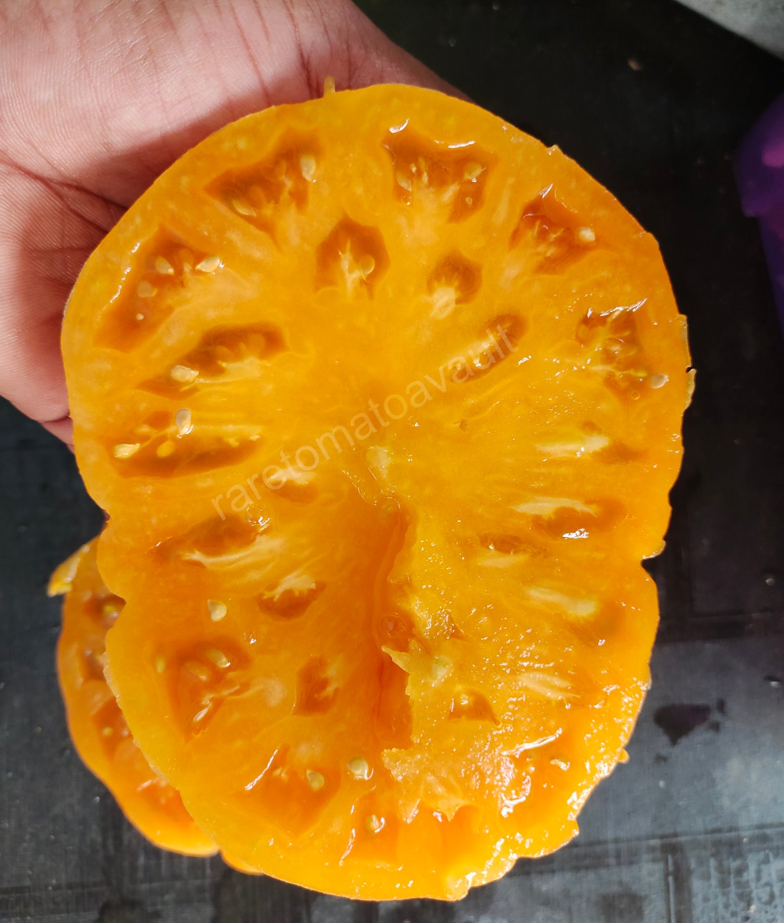 Kellogs breakfast (West Virginia Heirloom)