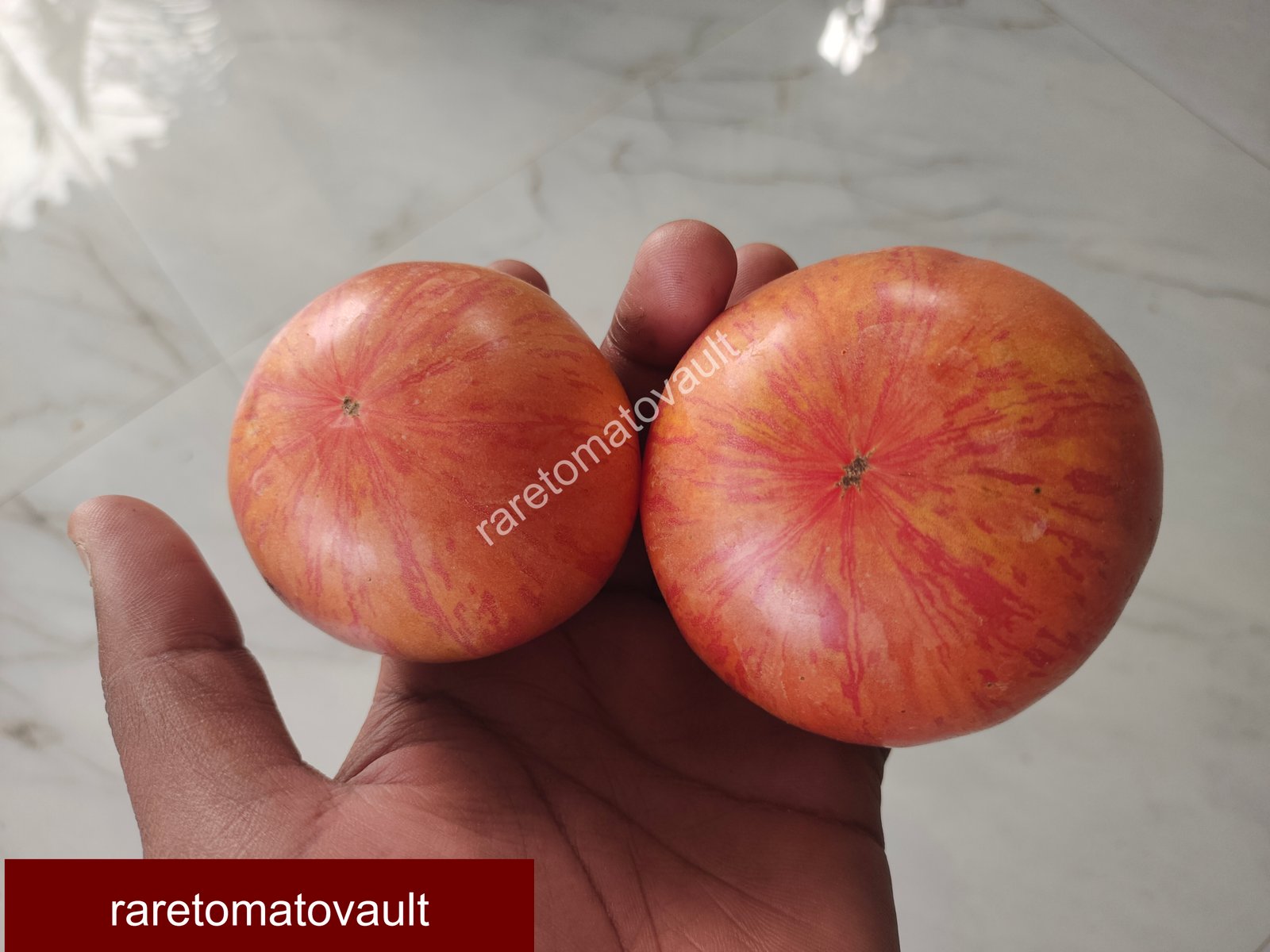 Red Beauty (Wild Boar Farms, USA)