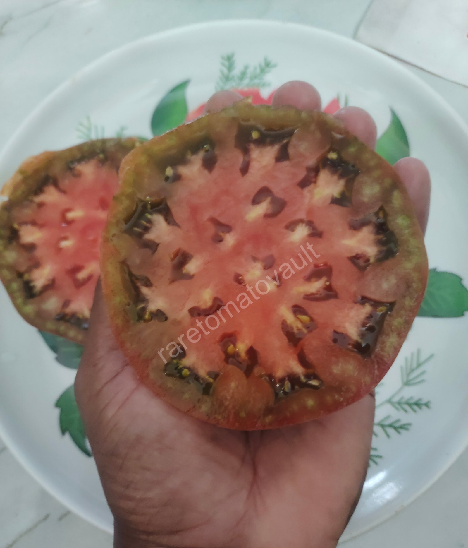 Chinook Tomato (Canada)