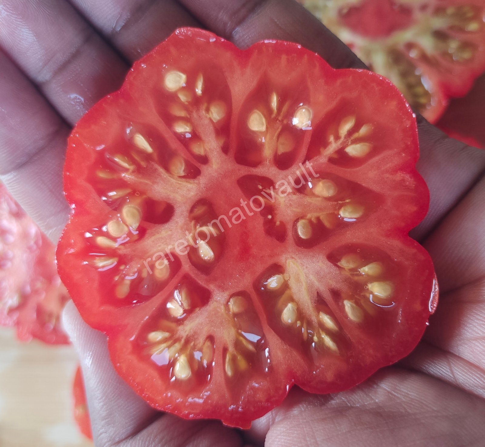 Burmese Sour Tomato (Myanmar)