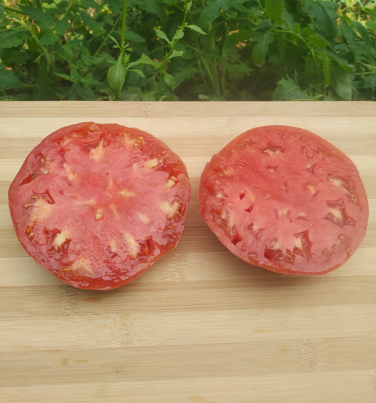 Pink Jazz Tomato (Artisan Heirloom)