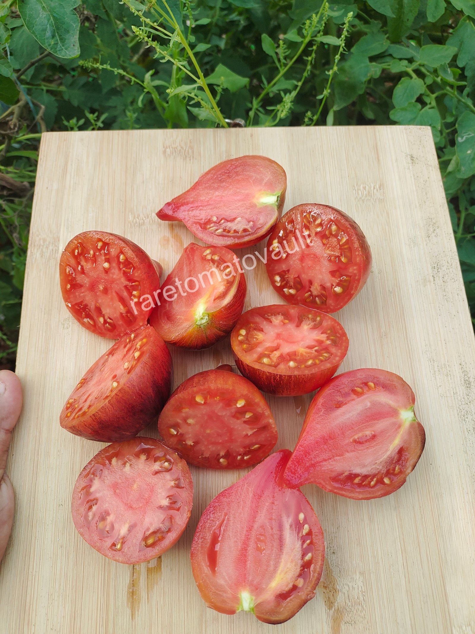 Sofia's Fiery Comet tomato (Russia)