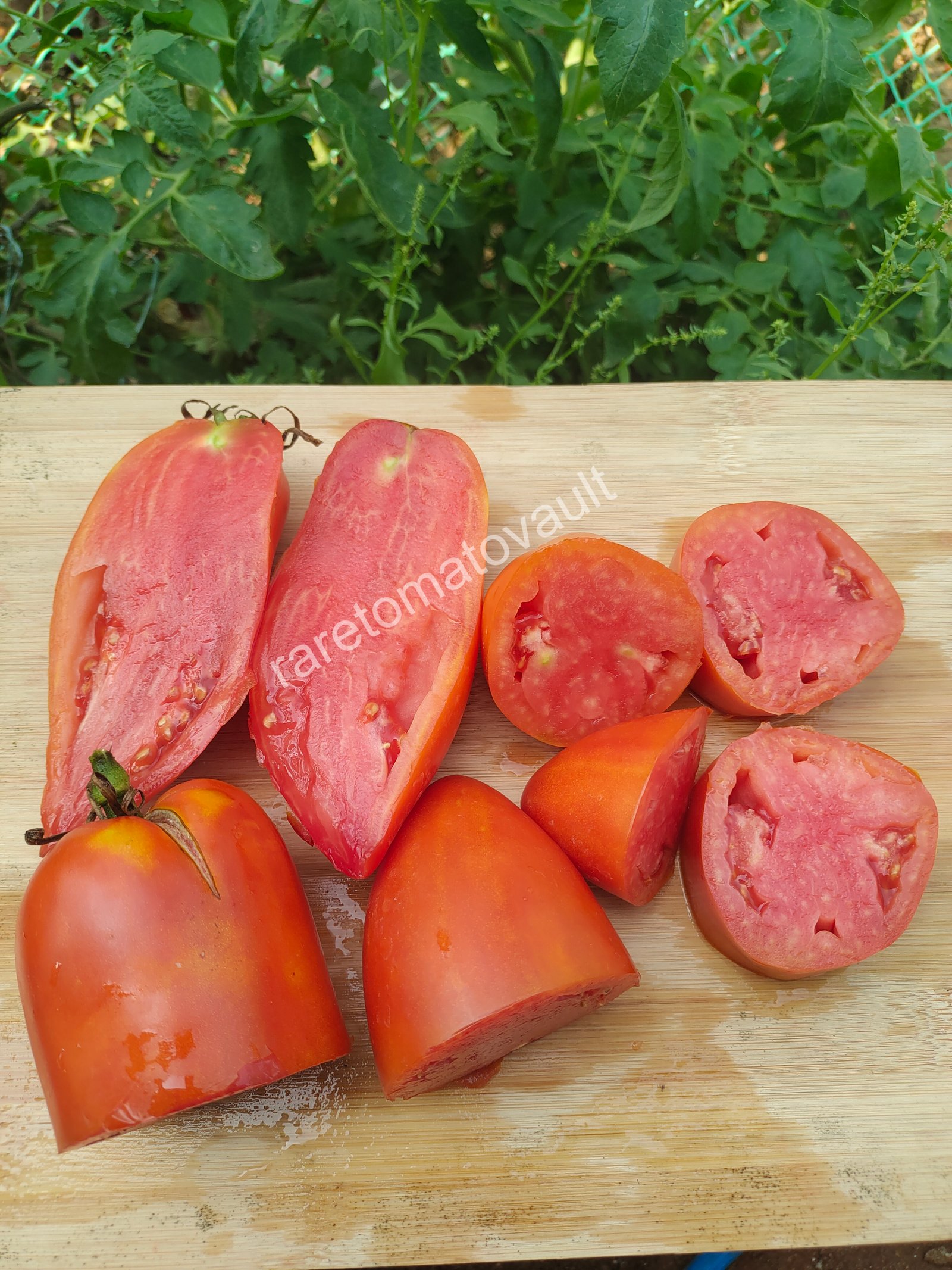 San Marzano Redorta (Italian Heirloom)