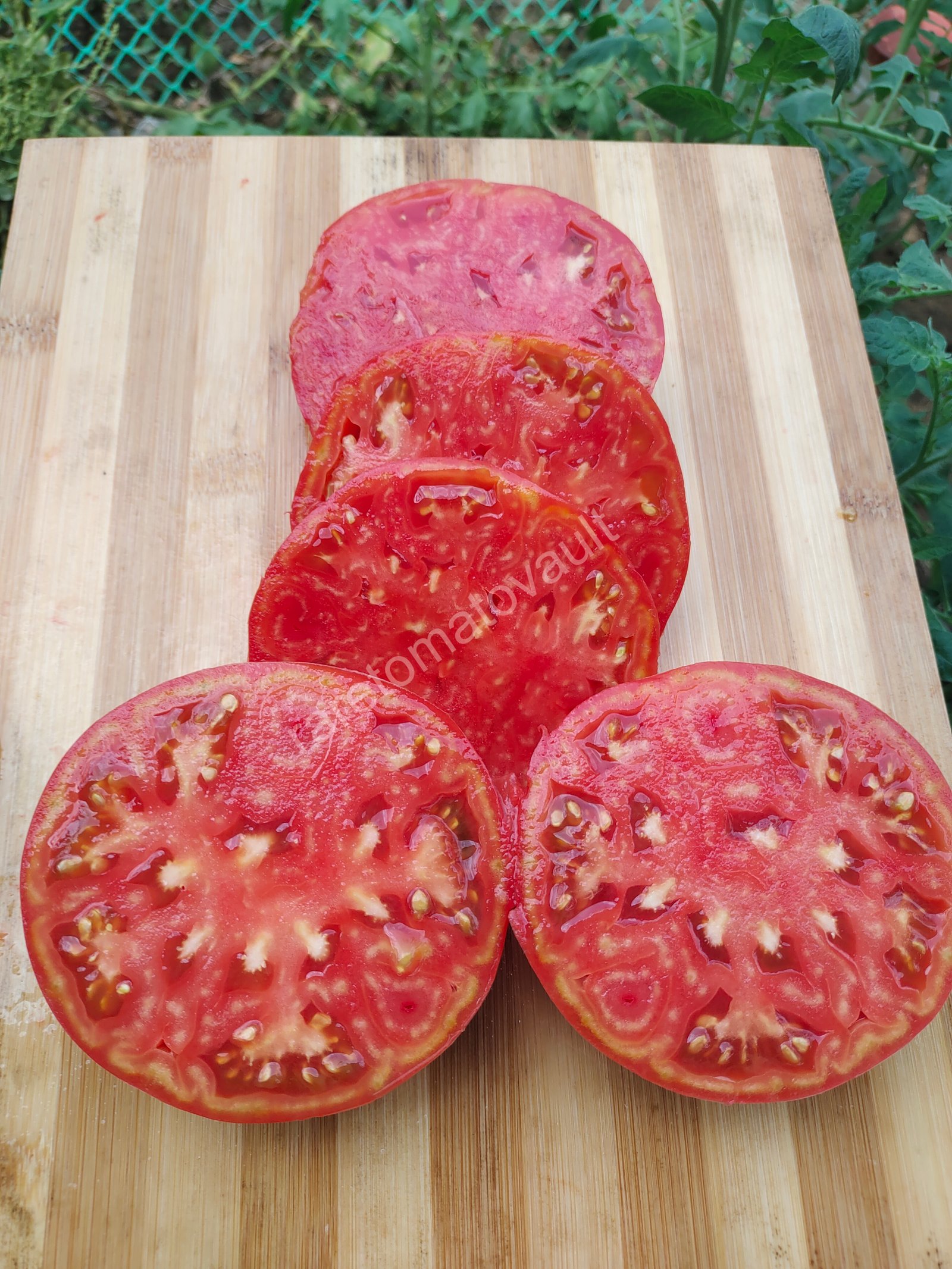 Big Rainbow Tomato (USA Heirloom)