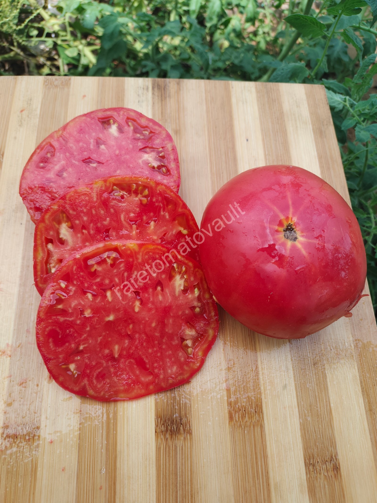 Big Rainbow Tomato (USA Heirloom)