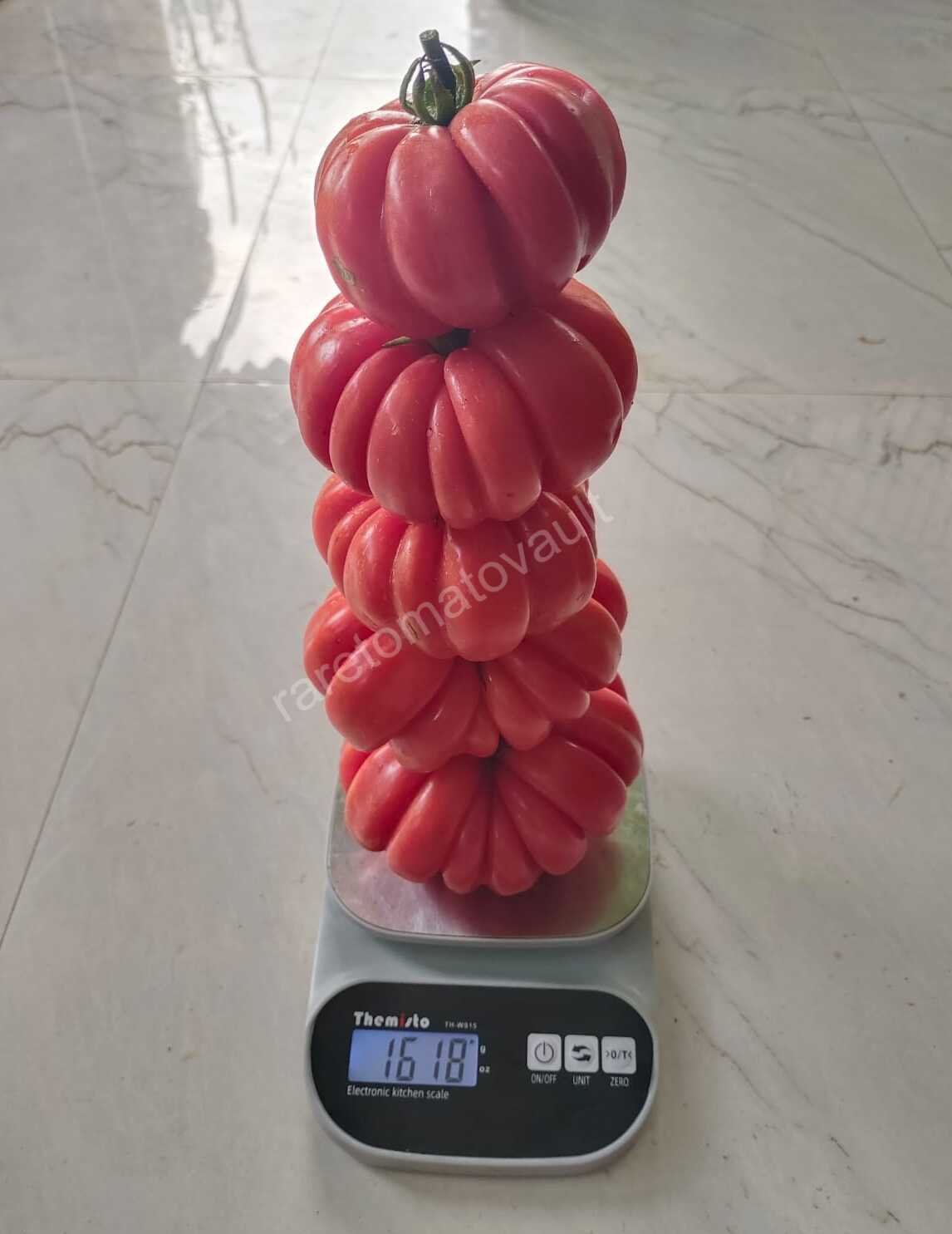 Mushroom Basket Tomato 
